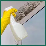 Margate Emergency Restoration Margate, FL 954-488-2959 Margate Emergency Restoration Margate, FL 954-488-2959 - abtus-mold
