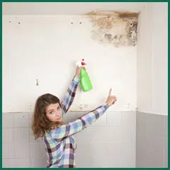Margate Emergency Restoration Margate, FL 954-488-2959 Margate Emergency Restoration Margate, FL 954-488-2959 - side-mold